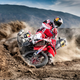 Illustration for article titled Red Bull Desert Wings Descend On The Dakar